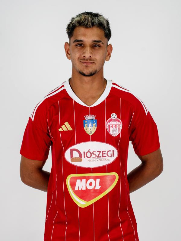 24. GYULAI CRISTIAN